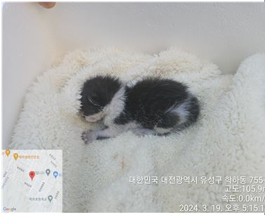 대전동물보호센터_430367202400157